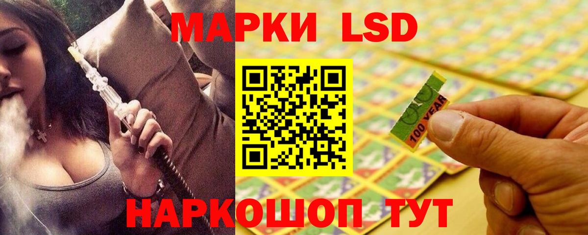 ЛСД экстази кислота  LSD-25 экстази кислота  Вход с VPN  LSD-25 экстази  Новозыбков 
