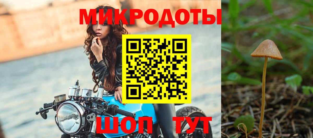 Псилоцибиновые грибы GOLDEN TEACHER  Псилоцибиновые грибы мицелий  Вход с VPN  Новозыбков 